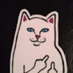 Meet your Posher, Janet finnsson